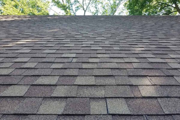 Shingled Roofing Services